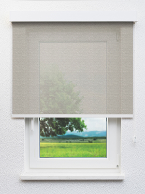 Algieba 802974L Fensteransicht