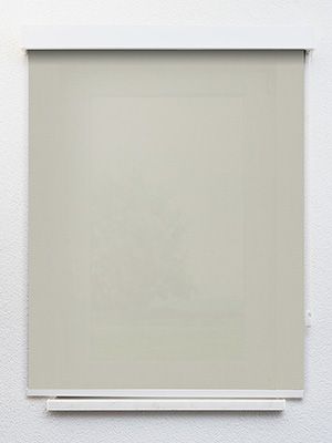 Preview Riespach 521-9ro 1