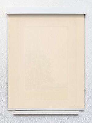 Preview Riespach 522-0ro 1