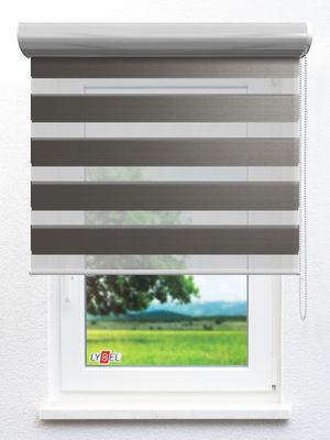 Doppelrollo Macon_05203ro Fensteransicht