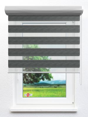 Doppelrollo Biarritz_01103ro Fensteransicht