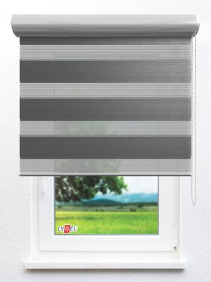 Doppelrollo Biot_33103ro Fensteransicht