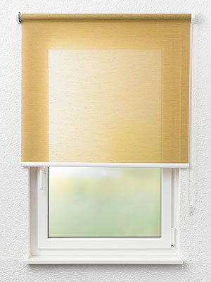 La Savina 20.363e Fensteransicht