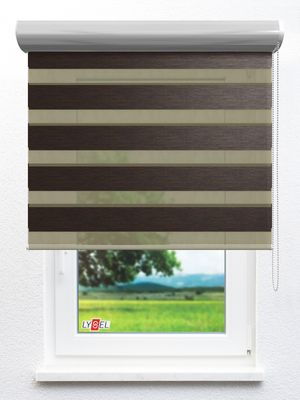 Doppelrollo Collias_00203ro Fensteransicht