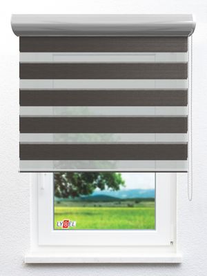 Doppelrollo Douai_42403ro Fensteransicht