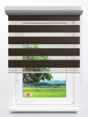 Doppelrollo Albi_35103ro Fensteransicht