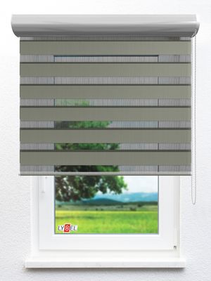 Doppelrollo Blaye_16303ro Fensteransicht