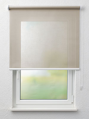 Bruchsal 21.244e Fensteransicht