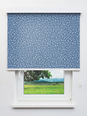 Angers 726-2ro Fensteransicht