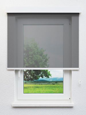 Orléans 734-1ro Fensteransicht