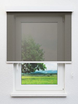 Bastia 790-0ro Fensteransicht