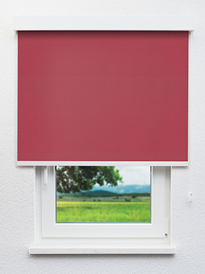 Esbly 814-1 Fensteransicht