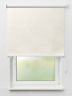 Eckernförde 00.357e Fensteransicht