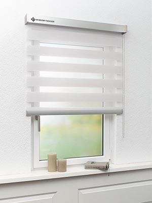 Doppelrollo Zapopan 71-05ro Fensteransicht