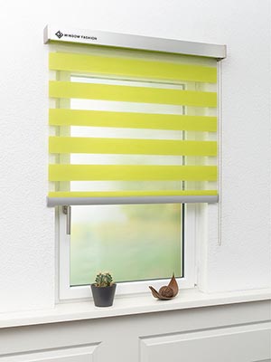 Doppelrollo Dallas 55-02ro Fensteransicht