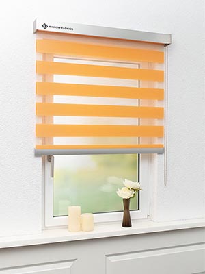 Doppelrollo Dallas 55-03ro Fensteransicht