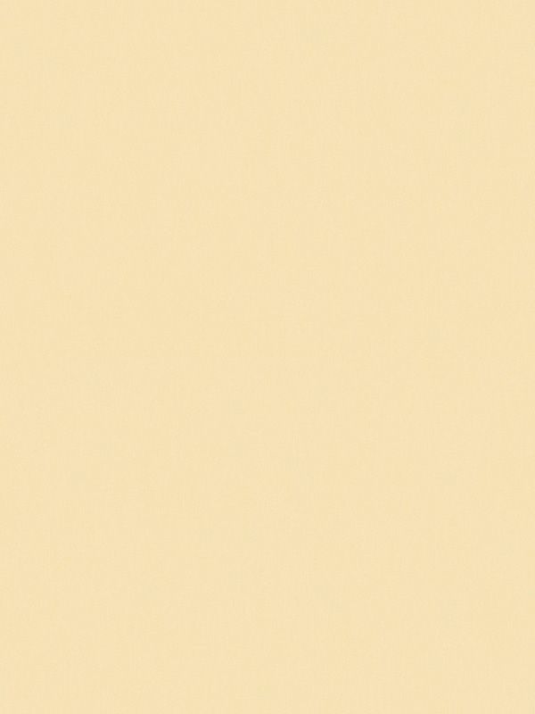 Detailansicht Melun 408-4ro