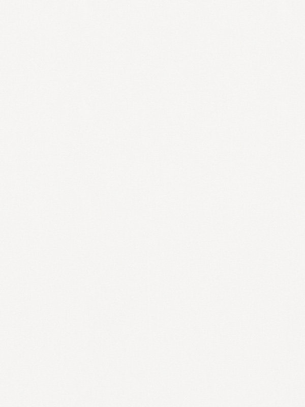 Detailansicht Ascain 00.041e