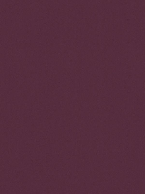 Detailansicht Canari 775-4ro