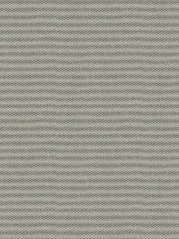 Detailansicht Asterope 802643L