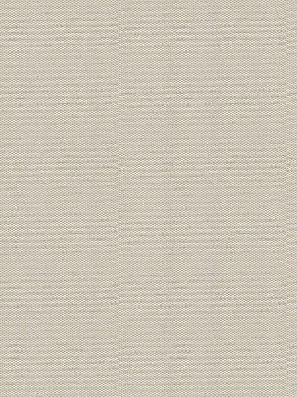 Detailansicht Asterope 702794L