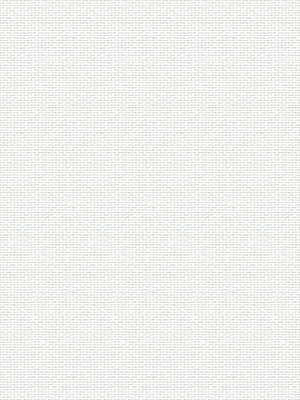 Asellus 102525L Detailansicht