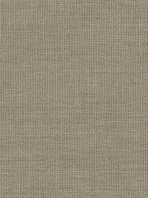 Asellus 702702L Detailansicht