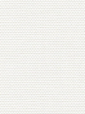 Canopus 102819L Detailansicht