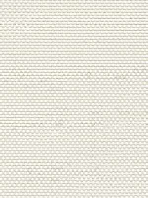 Canopus 202820L Detailansicht