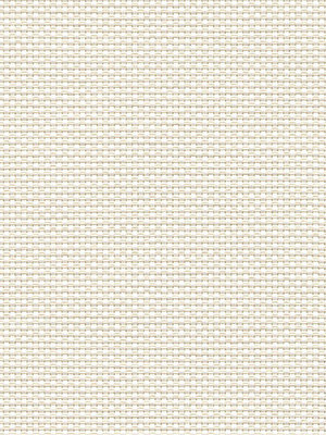 Canopus 202828L Detailansicht