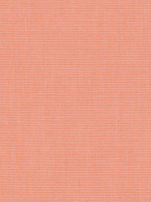 Calpe 82.104e Detailansicht