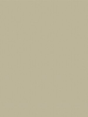 Abilene Dimout 54-45ro Detailansicht